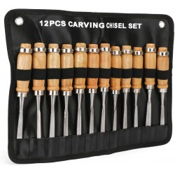 Wood Carving Chisel Set, EnPoint 12 Piece Turning Lathe Tools Woodworking and Accessories, Professional High Speed Steel Sharp Blade Gouge Kit for Arts Beginners, with Carrying Case