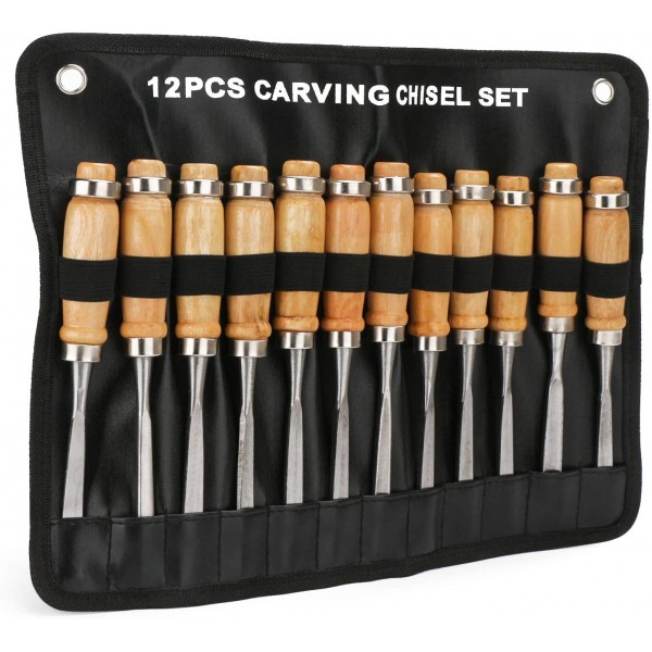 Wood Carving Chisel Set, EnPoint 12 Piece Turning Lathe Tools Woodworking and Accessories, Professional High Speed Steel Sharp Blade Gouge Kit for Arts Beginners, with Carrying Case