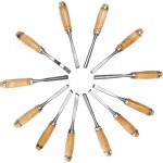 Wood Carving Chisel Set, EnPoint 12 Piece Turning Lathe Tools Woodworking and Accessories, Professional High Speed Steel Sharp Blade Gouge Kit for Arts Beginners, with Carrying Case