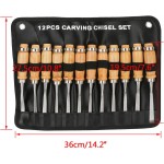 Wood Carving Chisel Set, EnPoint 12 Piece Turning Lathe Tools Woodworking and Accessories, Professional High Speed Steel Sharp Blade Gouge Kit for Arts Beginners, with Carrying Case