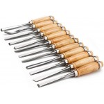 Wood Carving Chisel Set, EnPoint 12 Piece Turning Lathe Tools Woodworking and Accessories, Professional High Speed Steel Sharp Blade Gouge Kit for Arts Beginners, with Carrying Case