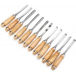 Wood Carving Chisel Set, EnPoint 12 Piece Turning Lathe Tools Woodworking and Accessories, Professional High Speed Steel Sharp Blade Gouge Kit for Arts Beginners, with Carrying Case